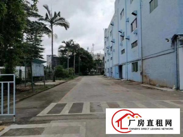  龙华大浪红本独院厂房