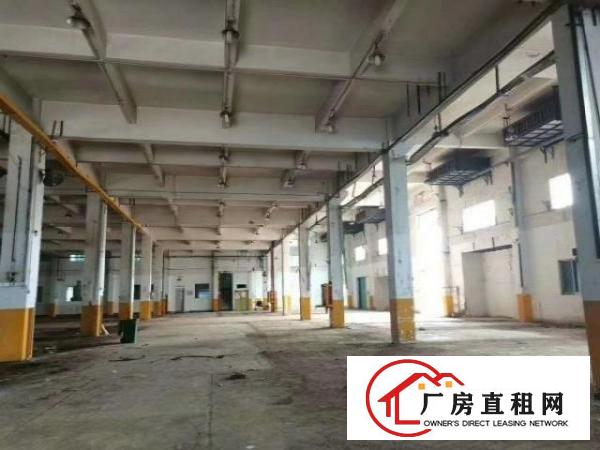  龙华大浪红本独院厂房