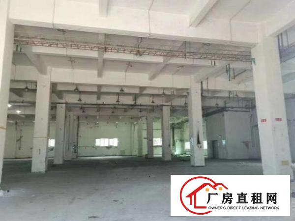  龙华大浪红本独院厂房