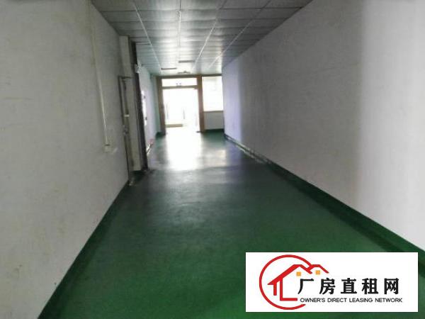  出租大浪工业区整层厂房