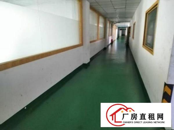  出租大浪工业区整层厂房