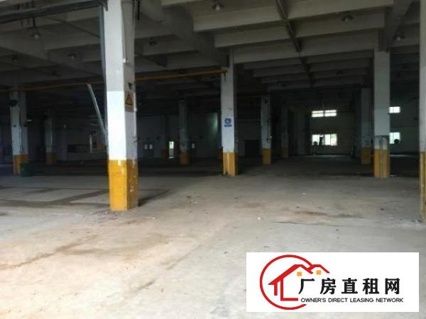  龙华大浪原房东标准厂房实际面积出租