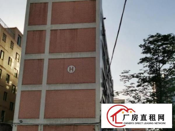  出租龙华区大浪石观工业区Ｈ栋800平米整层厂房，房产经纪勿扰
