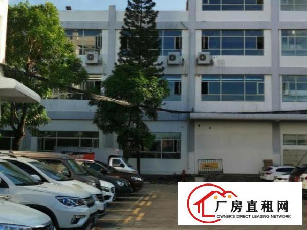 出租龙华区大浪石观工业区Ｈ栋800平米整层厂房，房产经纪勿扰