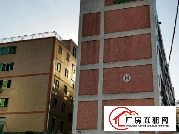  出租龙华区大浪石观工业区Ｈ栋800平米整层厂房，房产经纪勿扰