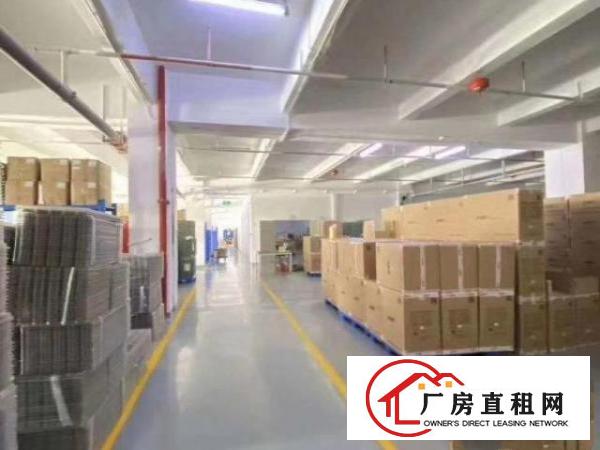 大浪华兴路，原房东1000到2000平米厂房出租