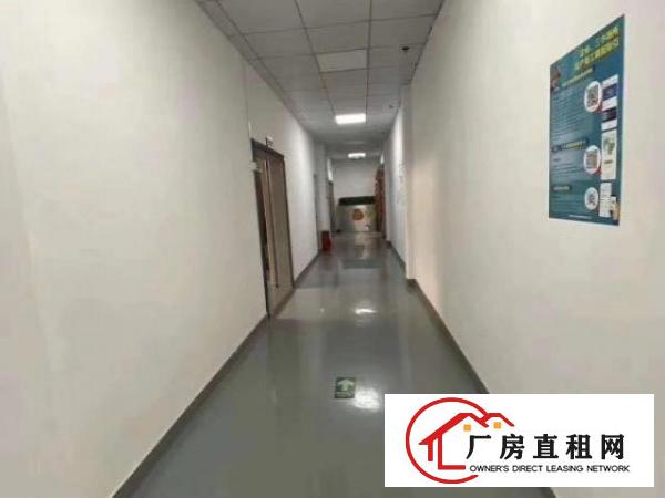  大浪华兴路，原房东1000到2000平米厂房出租