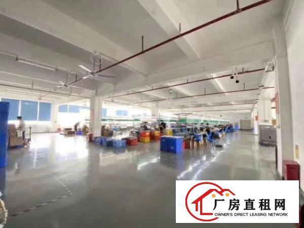  大浪华兴路，原房东1000到2000平米厂房出租