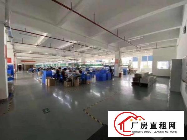  大浪华兴路，原房东1000到2000平米厂房出租
