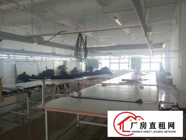  厂房出租龙华区大浪歌力思时尚产业园