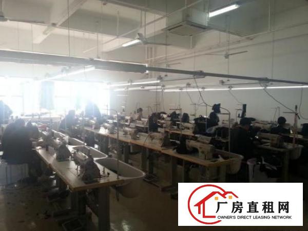  厂房出租龙华区大浪歌力思时尚产业园