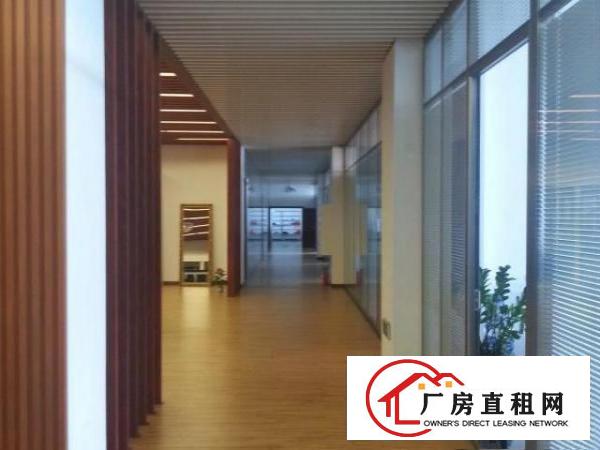  出租龙华新区大浪办公室
