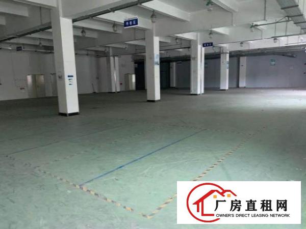  龙华区大型工业园区整栋厂房10000平共四层厂房出租