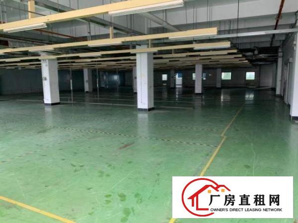  龙华区大型工业园区整栋厂房10000平共四层厂房出租