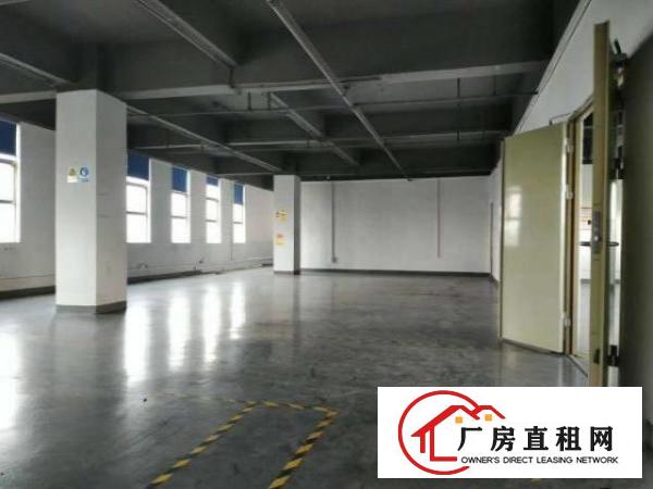  龙华大浪商业中心楼上新出850平标准厂房招租，精装修