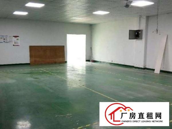  大浪龙泉工业区新出一楼350平厂房仓库带简单装修