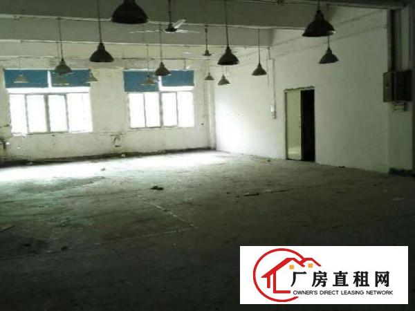  大浪龙泉工业区新出一楼350平厂房仓库带简单装修