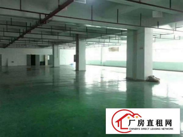 裕景泰科技园新出一楼二楼每层1100平带装修可分租