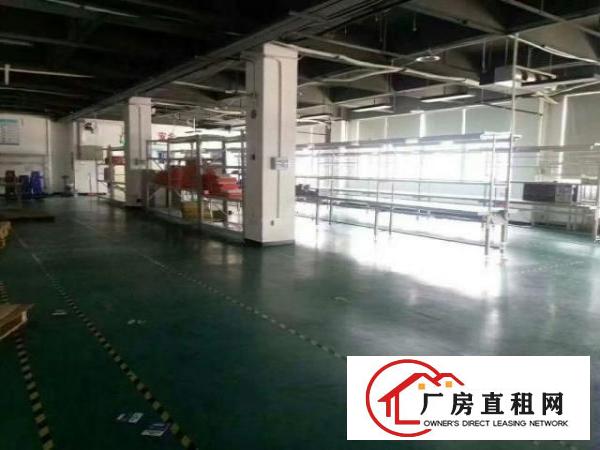  大浪金瑞中核科技园新出一楼二楼每层2000平带装修厂房招租
