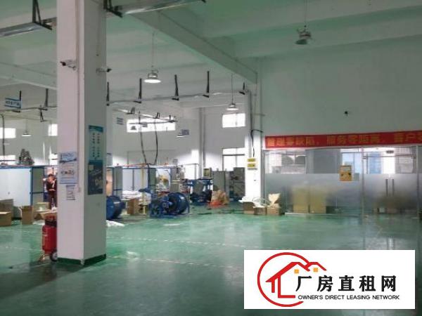  龙华大浪7米高一楼标准厂房出租