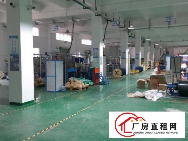  龙华大浪7米高一楼标准厂房出租
