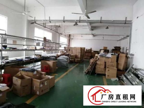  大浪豪迈工业区700平米带装修厂房无转让费出租