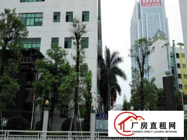  大浪英泰南方明珠新出三楼600平带无尘车间房子招租
