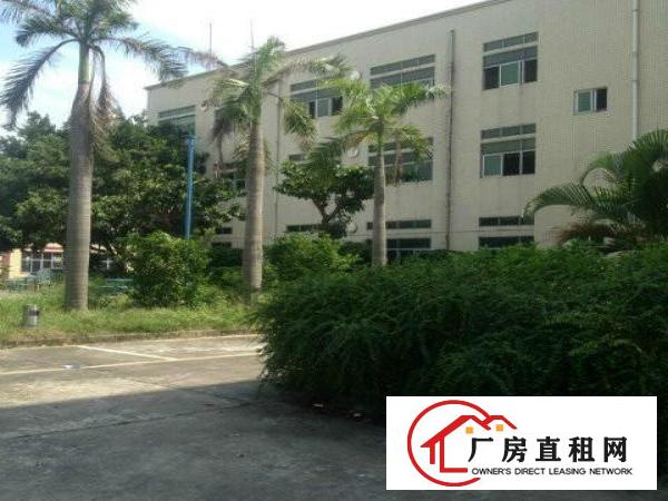  华荣路澳华工业区新出4楼450平带装修急租