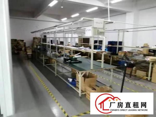  华荣路澳华工业区新出4楼450平带装修急租
