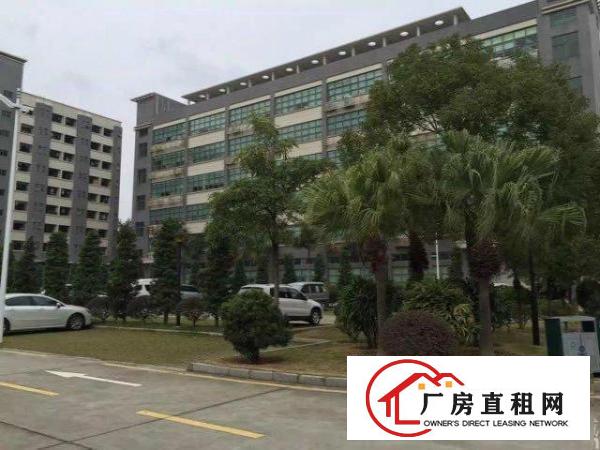  大浪金瑞中核新出三楼900平带装修厂房招租