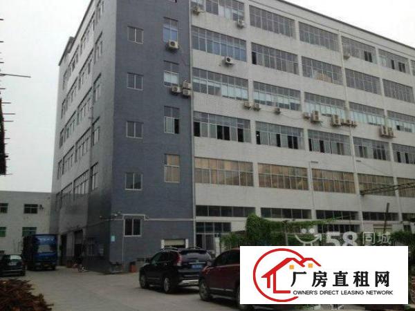  大浪新百丽星辉科技园新出3楼420平带豪华装修招租