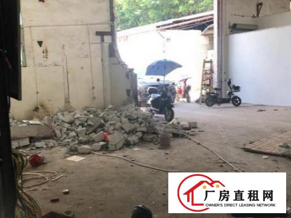  1楼铁皮厂房（房东直租）