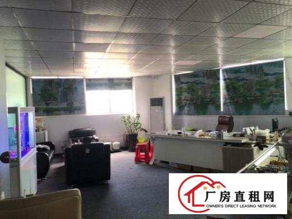  龙华大浪港深创新园G栋240m
