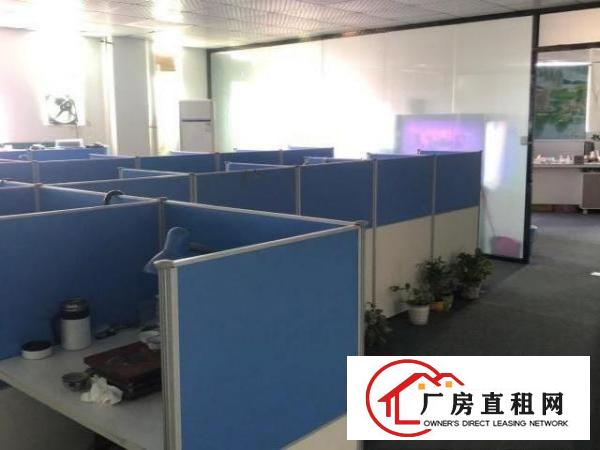  龙华大浪港深创新园G栋240m