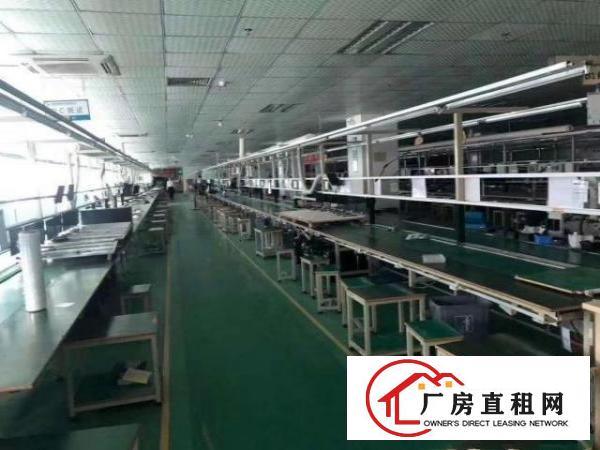  石岩石龙仔外环路原房东高新科技园楼上精装修3280平厂房出租