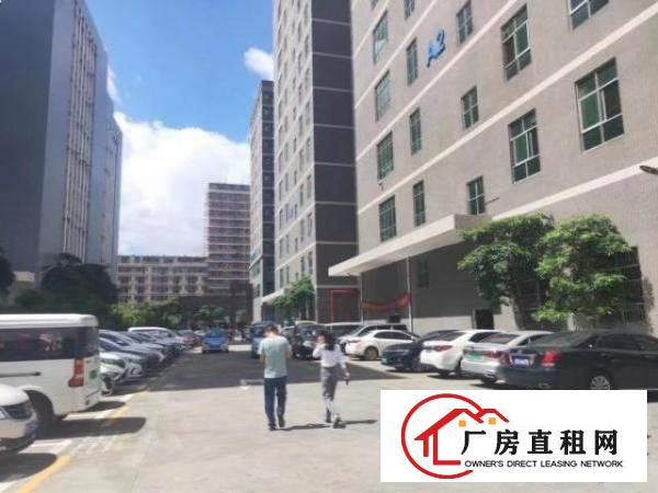  石岩石龙仔外环路原房东高新科技园楼上精装修3280平厂房出租