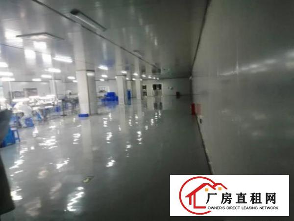  无尘车间低价出租不要转让费
