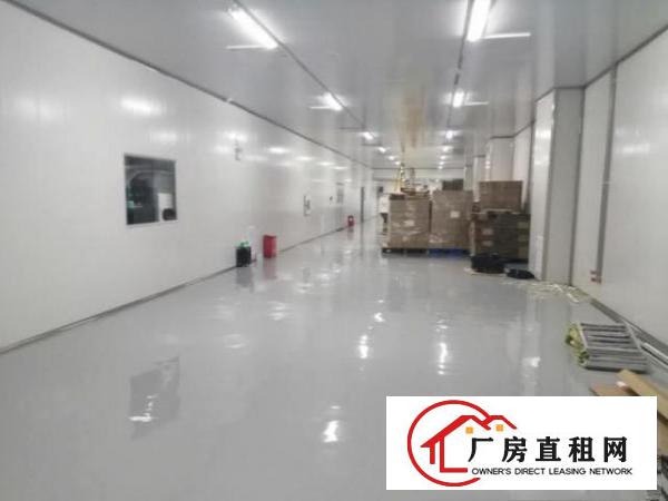  无尘车间低价出租不要转让费