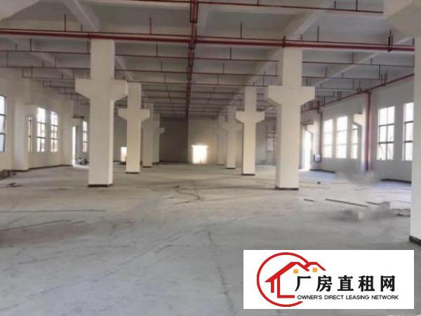  大浪大型工业区整层一楼1350平方米出租