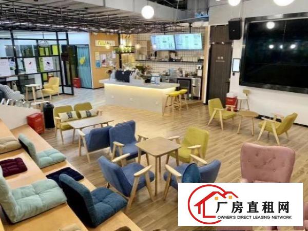  龙华大浪|3人间办公室|靠窗方正|送地址|赠百兆光纤|无杂费