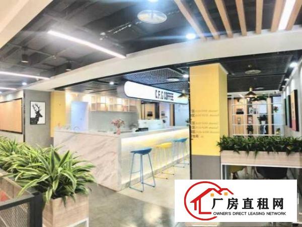  龙华大浪|3人间办公室|靠窗方正|送地址|赠百兆光纤|无杂费