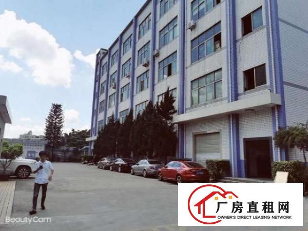  工业园区整层无尘车间500平米