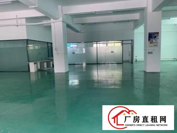  工业园区整层无尘车间500平米