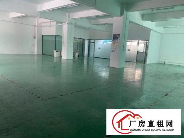  工业园区整层无尘车间500平米