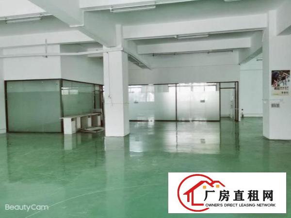  工业园区整层无尘车间500平米