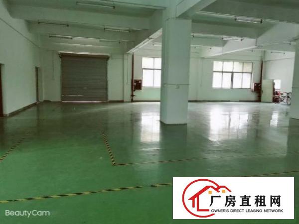  工业园区整层无尘车间500平米