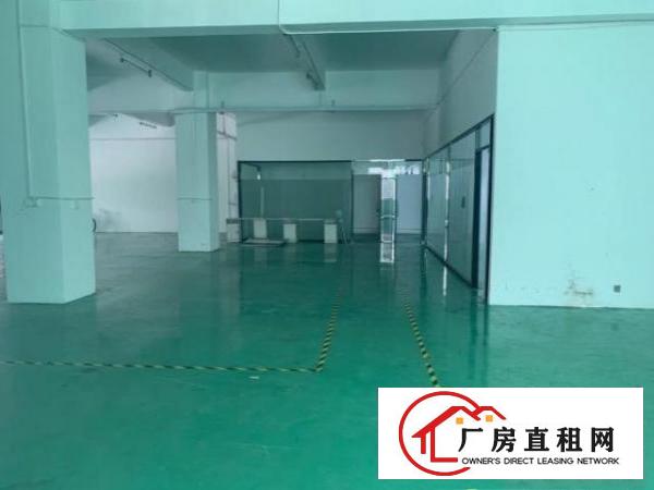  工业园区整层无尘车间500平米