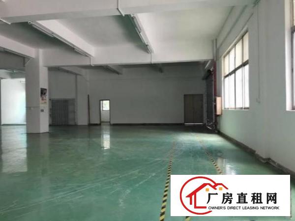  工业园区整层无尘车间500平米
