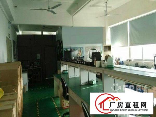  大浪上横朗百富利工业区新出680平带装修免转让费急租