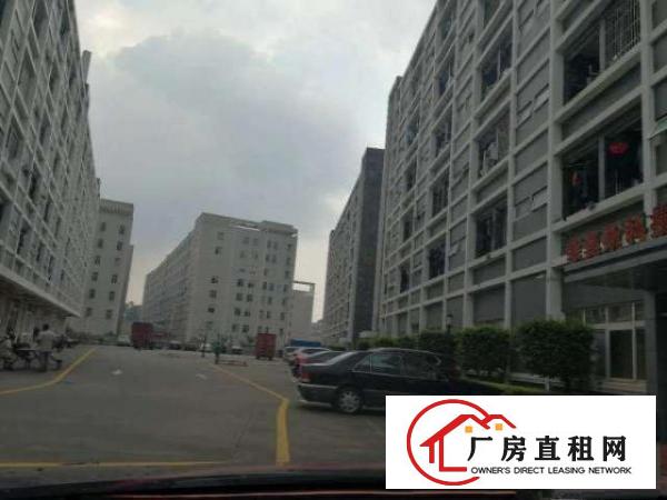  大浪新百丽旁新出一楼500平仓库空地大招租
